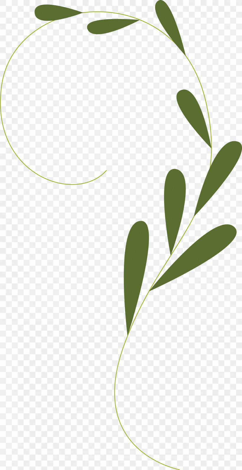 Leaf Plant Stem Line Branching Plants, PNG, 1545x3000px, Leaf, Biology, Branching, Geometry, Line Download Free