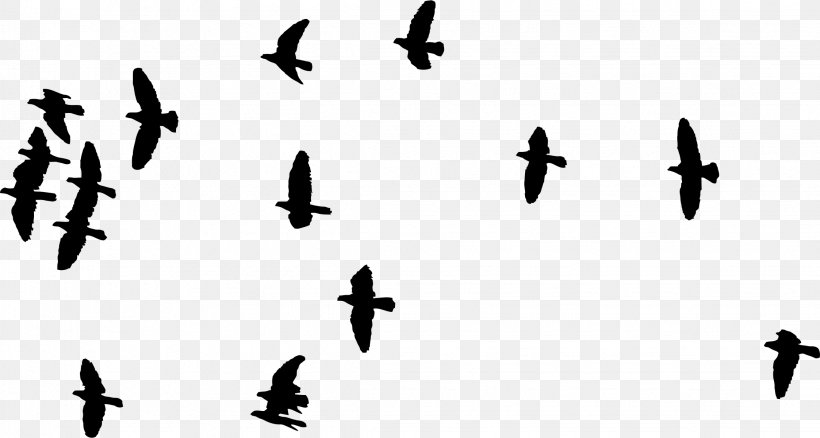 Bird Flight Flock Clip Art, PNG, 2246x1202px, Bird, Animal Migration, Beak, Bird Flight, Bird Migration Download Free