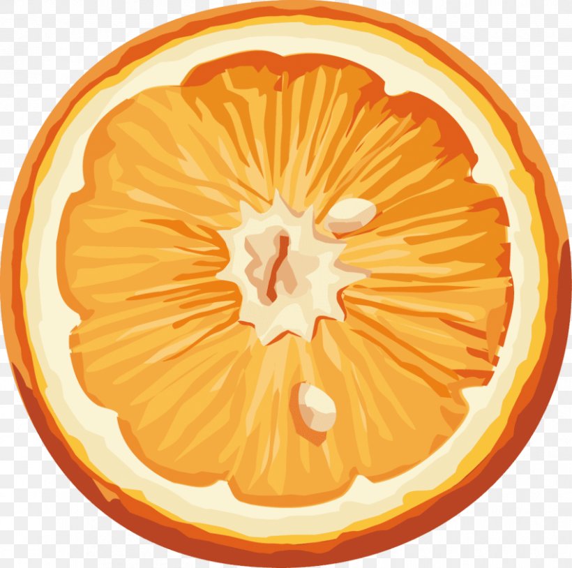 Orange Juice Citrus × Sinensis, PNG, 850x844px, Orange, Calabaza, Citrus, Citrus Sinensis, Cucurbita Download Free