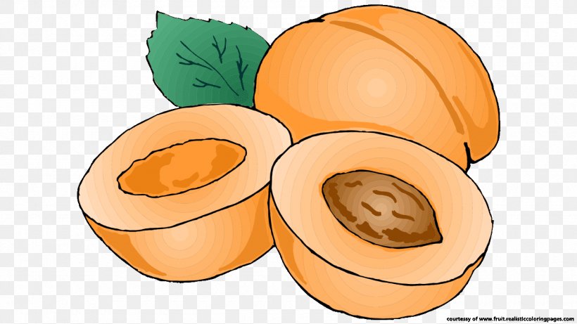 Pumpkin Apricot Fruit Clip Art, PNG, 1280x720px, Pumpkin, Apricot, Calabaza, Cartoon, Commodity Download Free