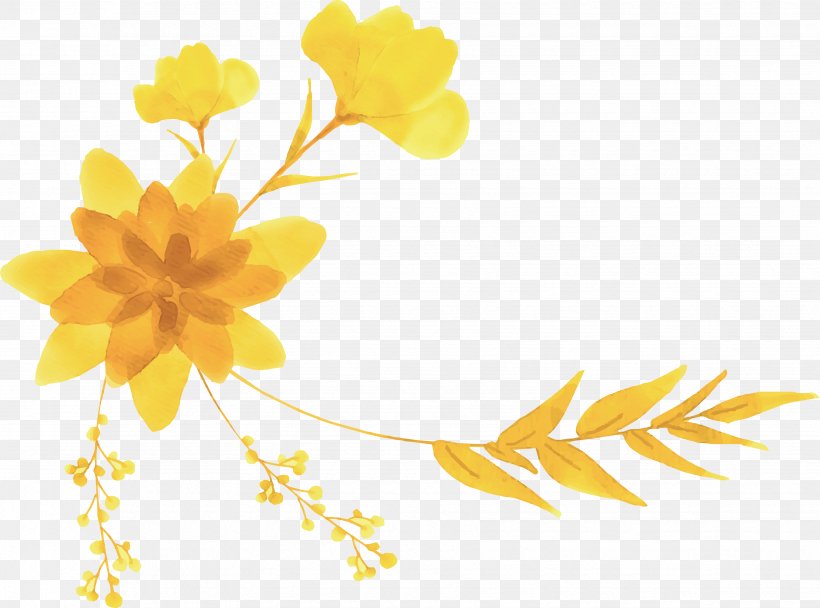 Yellow Flower Designer, PNG, 3505x2601px, Yellow, Branch, Designer, Flora, Floral Design Download Free