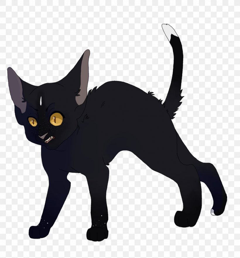 Black Cat Kitten Domestic Short-haired Cat Whiskers, PNG, 1024x1103px, Black Cat, Asia, Asian, Asian People, Black Download Free
