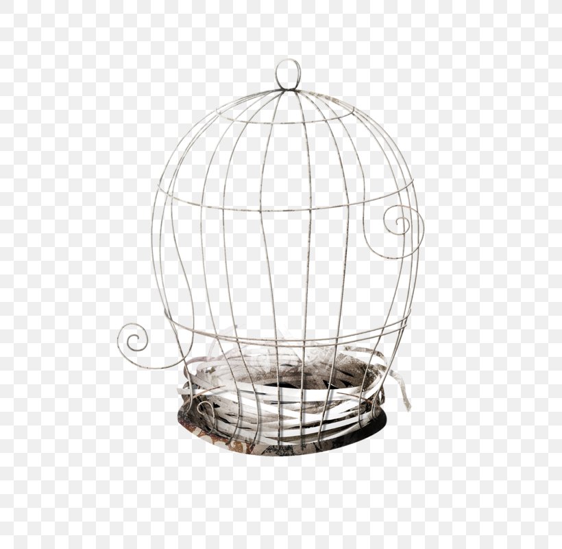 Cage Clip Art, PNG, 697x800px, Cage, Bird, Bird Nest, Birdcage, Creativity Download Free