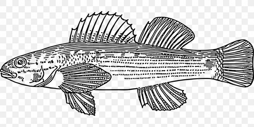 Fish Scale Drawing Clip Art, PNG, 1280x640px, Fish, Animal, Animal Figure, Artwork, Black And White Download Free