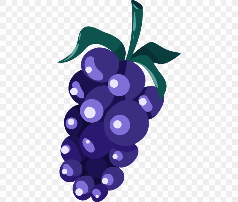 Grape Illustration Purple Wine, PNG, 1938x1650px, Grape, Bilberry, Common Grape Vine, Flowering Plant, Food Download Free