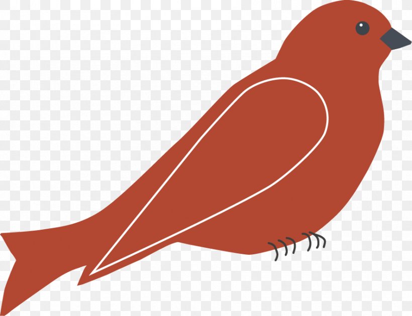 European Robin Red Bird Landscapes And Edible Gardens Clip Art, PNG, 885x681px, European Robin, American Sparrows, Beak, Bird, Emberizidae Download Free