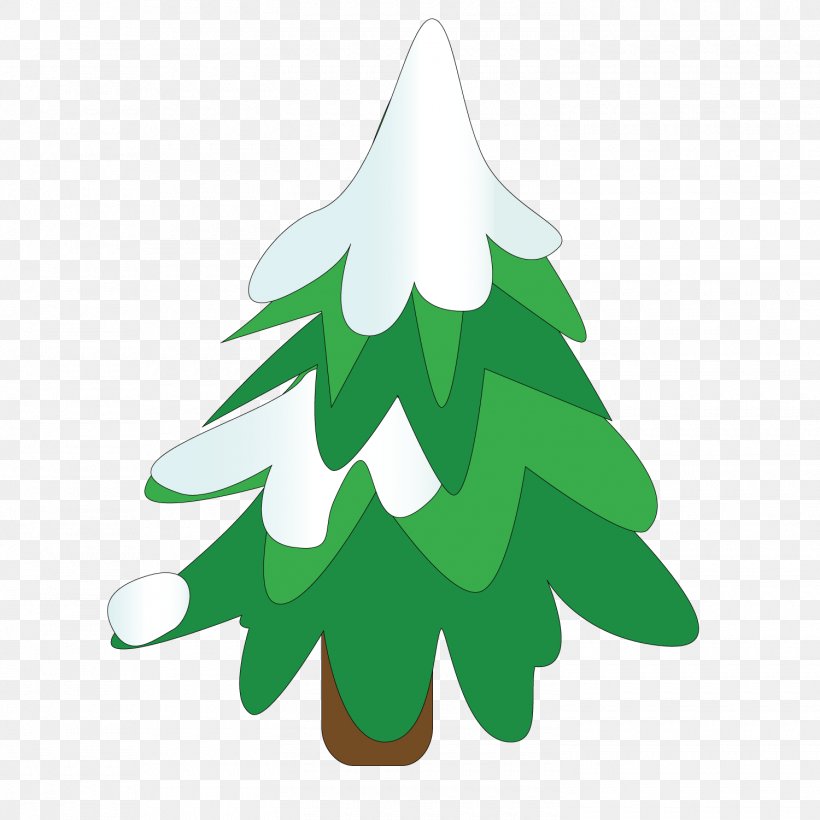 Fir Tree Winter, PNG, 1500x1501px, Fir, Branch, Cedar, Christmas Tree, Conifer Download Free