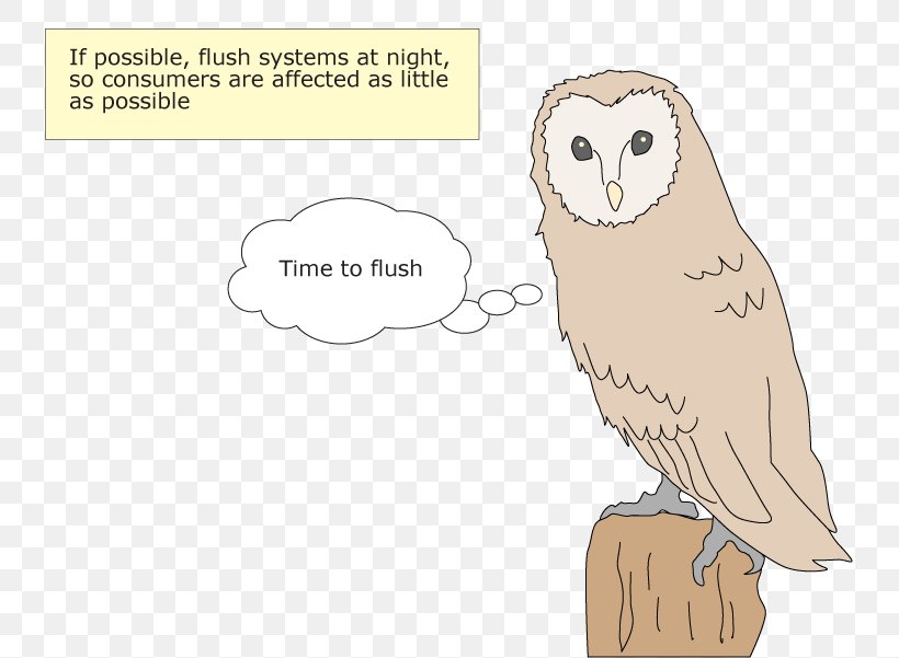 Owl Beak Bird Of Prey, PNG, 800x601px, Owl, Beak, Bird, Bird Of Prey, Cartoon Download Free