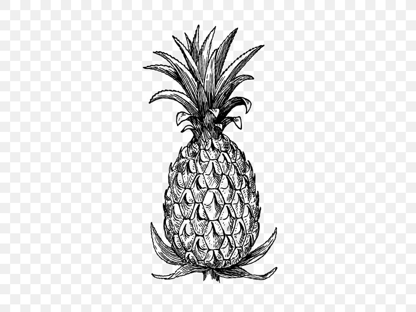 Pineapple, PNG, 461x615px, Pineapple, Ananas, Blackandwhite, Drawing, Food Download Free