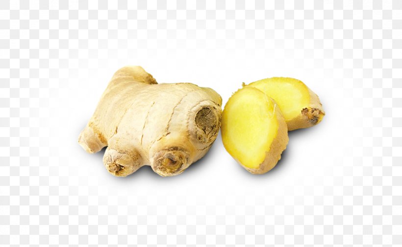Puppy Root Vegetables Tuber Snout, PNG, 1083x667px, Puppy, Carnivoran, Dog Like Mammal, Food, Fruit Download Free