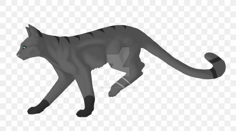 Whiskers Cat Dog Canidae Wildlife, PNG, 1198x667px, Whiskers, Animal, Animal Figure, Black, Black And White Download Free