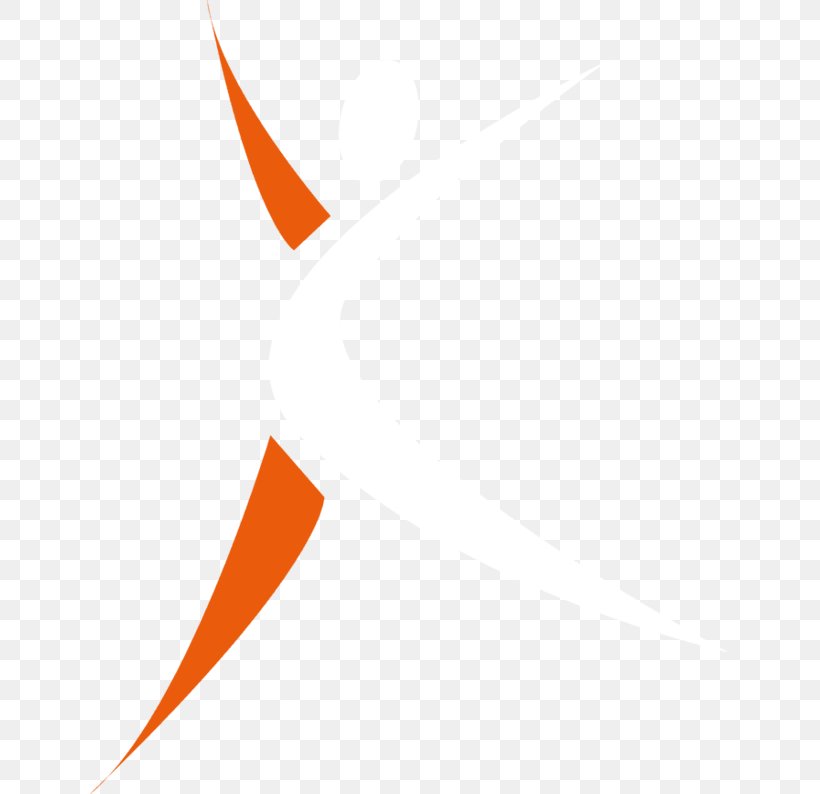 Logo Brand Line Angle Font, PNG, 640x794px, Logo, Brand, Computer, Orange, Orange Sa Download Free