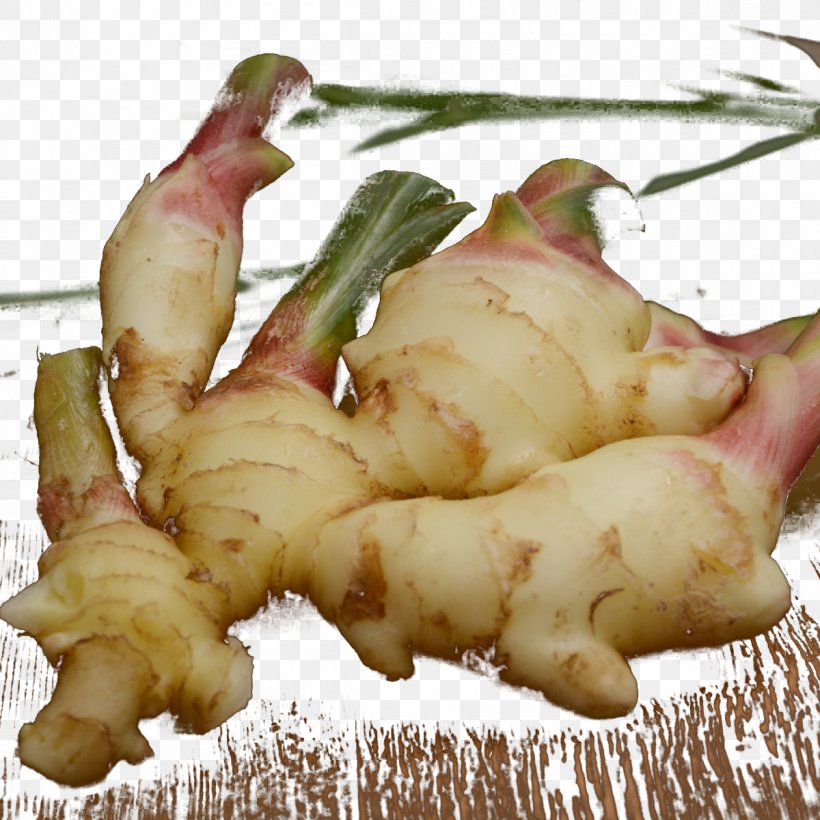 Root Vegetables Ginger Galangal Download, PNG, 1200x1200px, Root Vegetables, Food, Galangal, Ginger, Hair Download Free