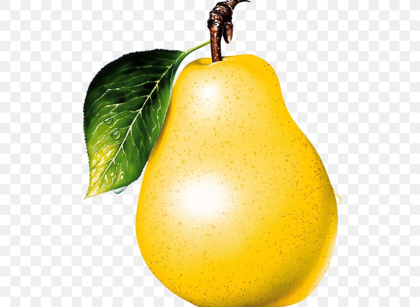 Asian Pear Pear Tomato Fruit Cartoon, PNG, 600x600px, Asian Pear, Apple, Cartoon, Citrus, Drawing Download Free