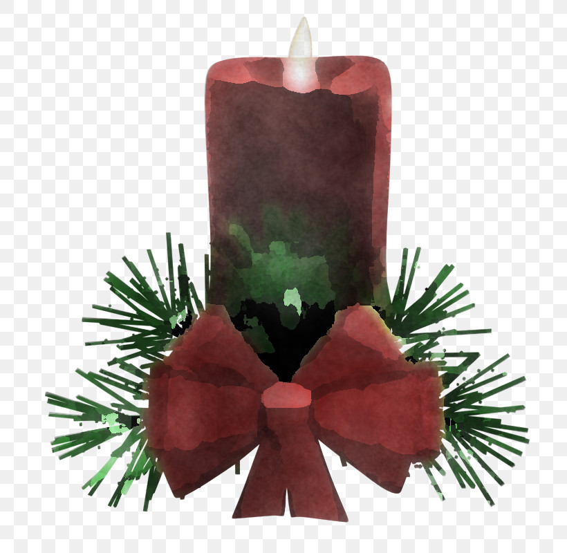 Candle Oregon Pine Green Lighting Pine, PNG, 800x800px, Candle, Colorado Spruce, Conifer, Fir, Green Download Free