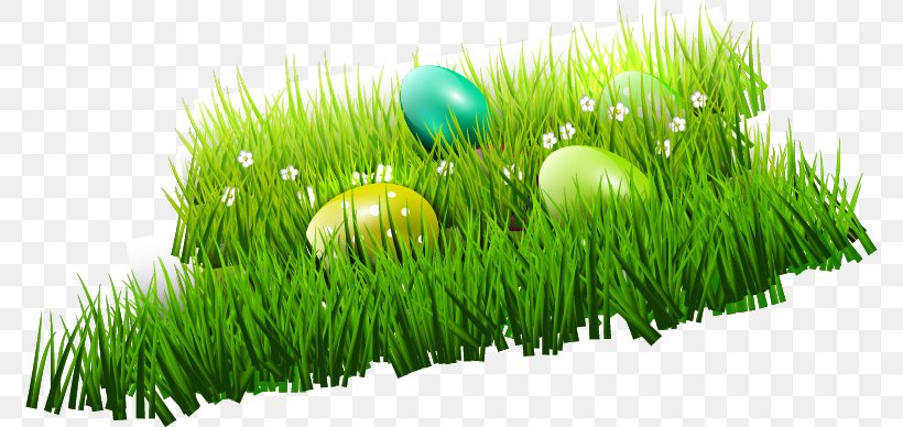 Easter Bunny Easter Egg, PNG, 774x388px, Easter Bunny, Commodity, Easter, Easter Egg, Egg Download Free