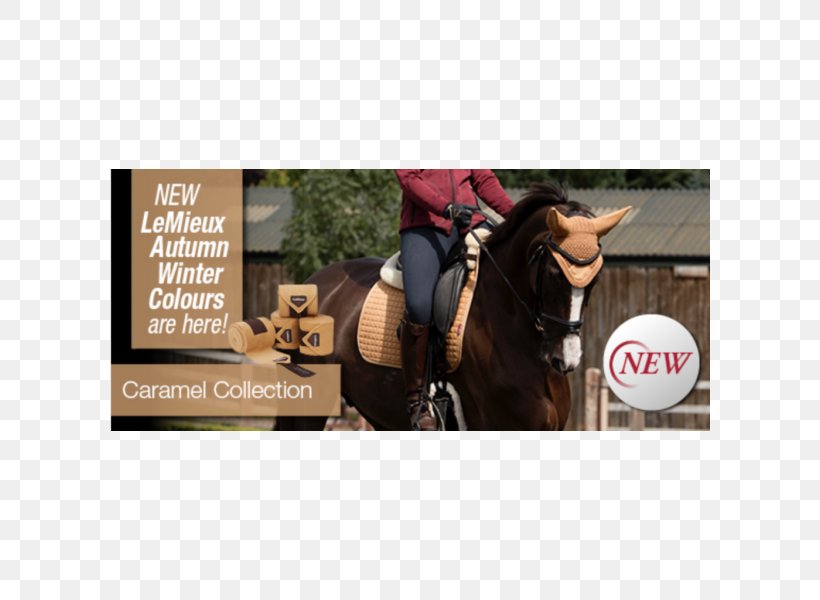 Horse Bridle Stallion Equestrian Caramel, PNG, 600x600px, Horse, Advertising, Brand, Bridle, Caramel Download Free