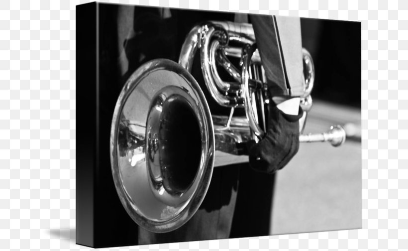Cornet Mellophone Trumpet Euphonium Marching Band, PNG, 650x504px, Watercolor, Cartoon, Flower, Frame, Heart Download Free