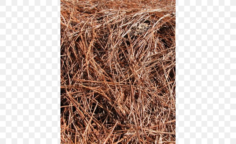 Straw Mulch Scrap Pine, PNG, 500x500px, Straw, Branch, Grass, Mulch, Pine Download Free