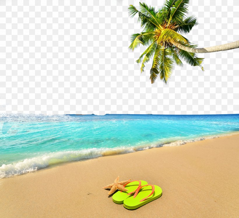 Vacation Summer Beach, PNG, 4928x4497px, Vacation, Aqua, Beach, Caribbean, Fundal Download Free