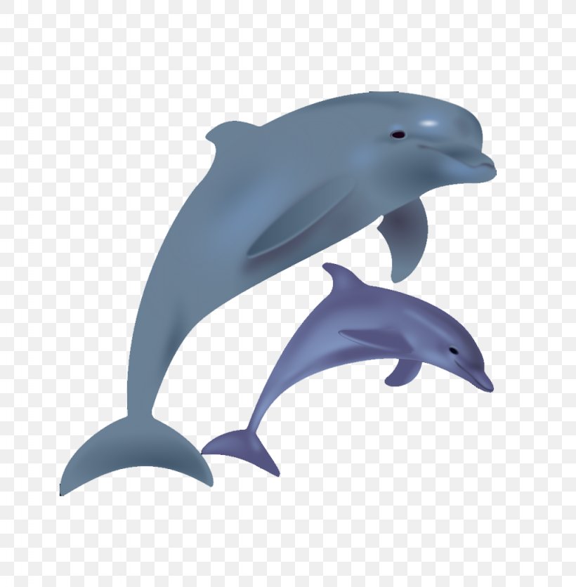 Bottlenose Dolphin Clip Art, PNG, 1024x1045px, Dolphin, Beak, Blog, Book, Bottlenose Dolphin Download Free
