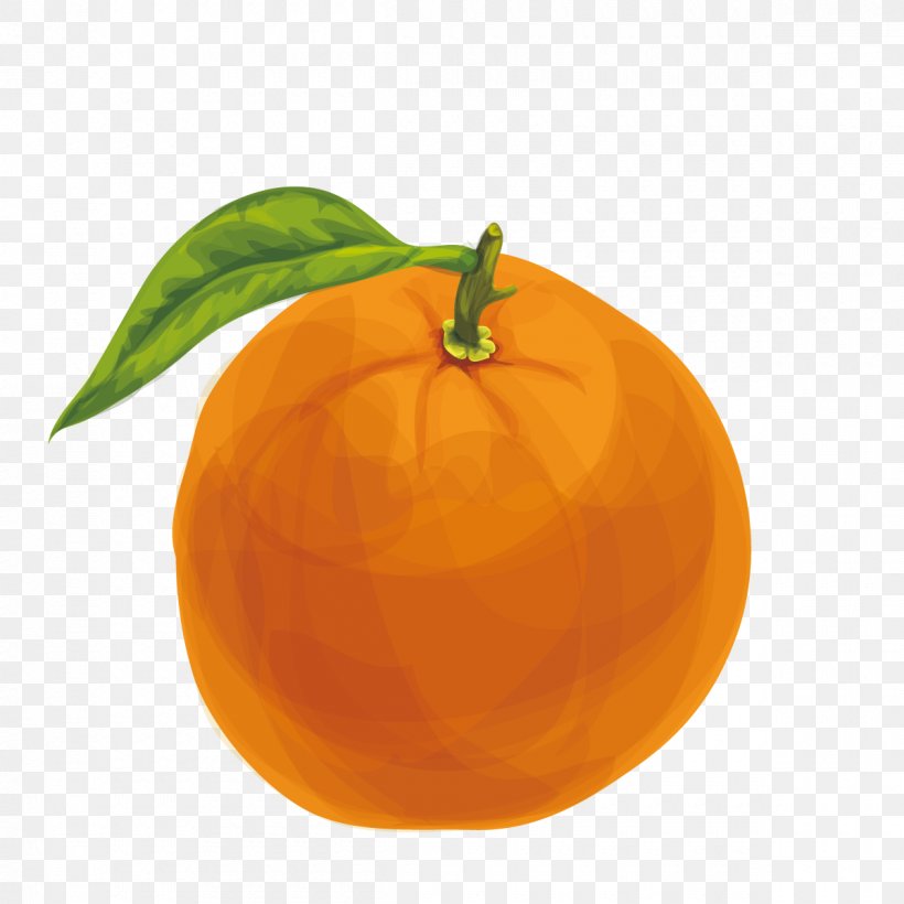 Orange Juice Lemon Mandarin Orange, PNG, 1200x1200px, Juice, Calabaza, Citrus, Clementine, Cucurbita Download Free