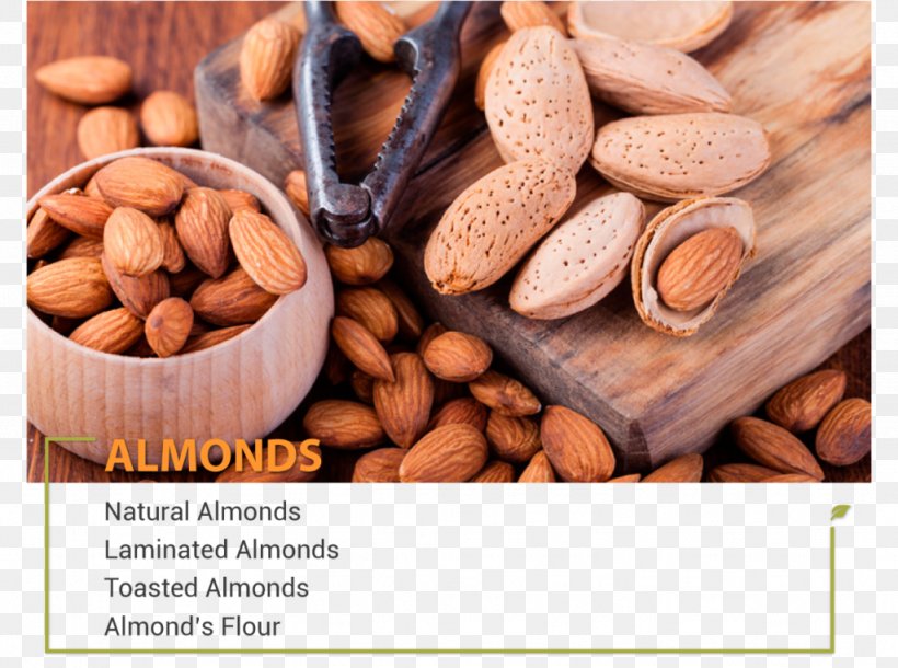 Almond Organic Food Nut Health, PNG, 1024x763px, Almond, Chocolate, Cocoa Bean, Dried Fruit, Food Download Free
