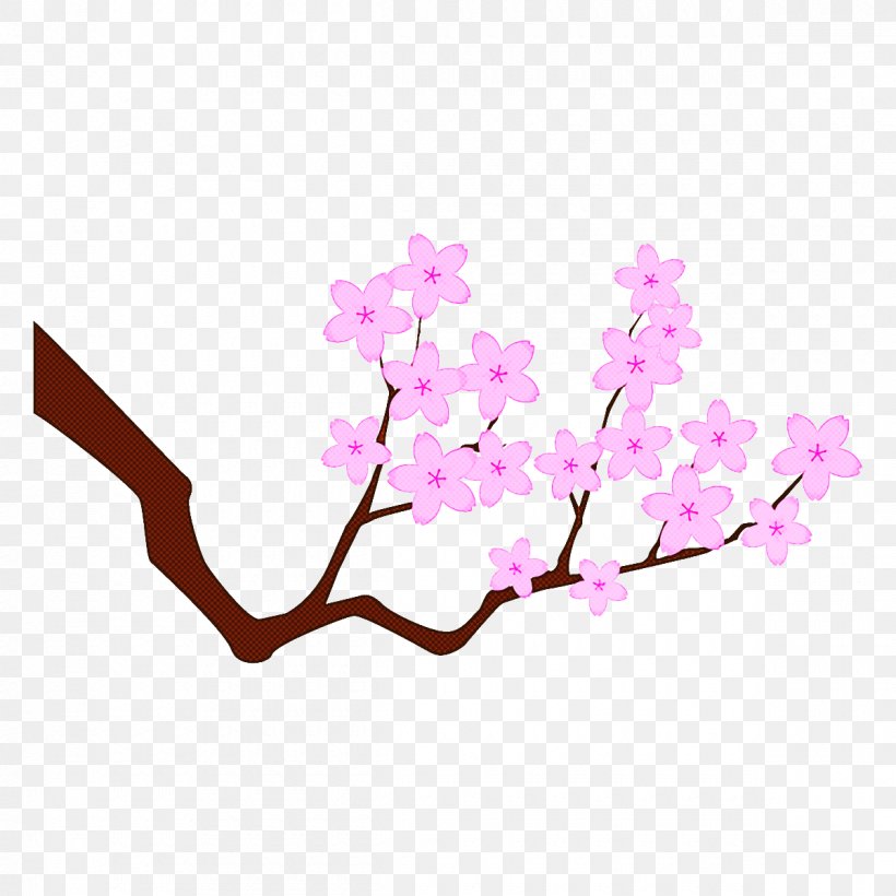 Cherry Blossom, PNG, 1200x1200px, Branch, Blossom, Cherry Blossom, Cut Flowers, Flower Download Free