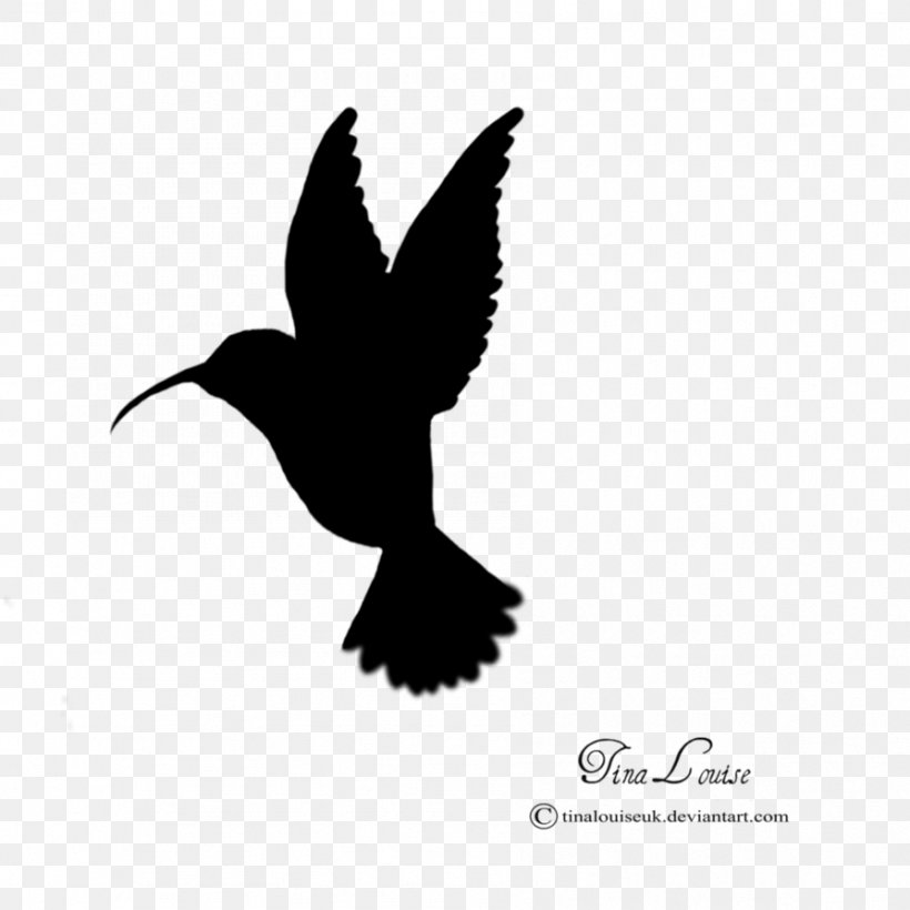 Hummingbird Silhouette Clip Art, PNG, 894x894px, Hummingbird, Art, Beak, Bird, Black And White Download Free