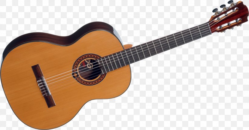 Taylor GS Mini Acoustic Guitar Mahogany Taylor Guitars, PNG, 1200x630px, Watercolor, Cartoon, Flower, Frame, Heart Download Free