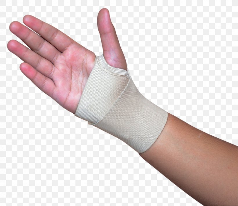Thumb Wrist Hand Model Glove, PNG, 830x718px, Thumb, Arm, Finger, Glove, Hand Download Free