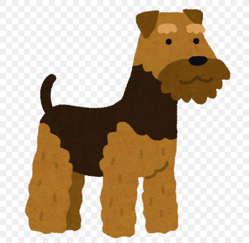Dog Breed Irish Terrier Welsh Terrier Lakeland Terrier Companion Dog, PNG, 761x800px, Dog Breed, Airedale Terrier, Breed, Carnivoran, Companion Dog Download Free