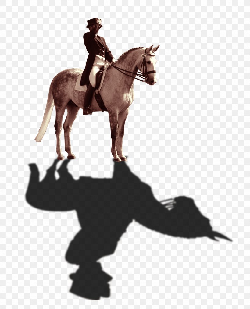 Horse Download Computer File, PNG, 1564x1935px, Horse, Bridle, Cowboy, English Riding, Equestrian Download Free