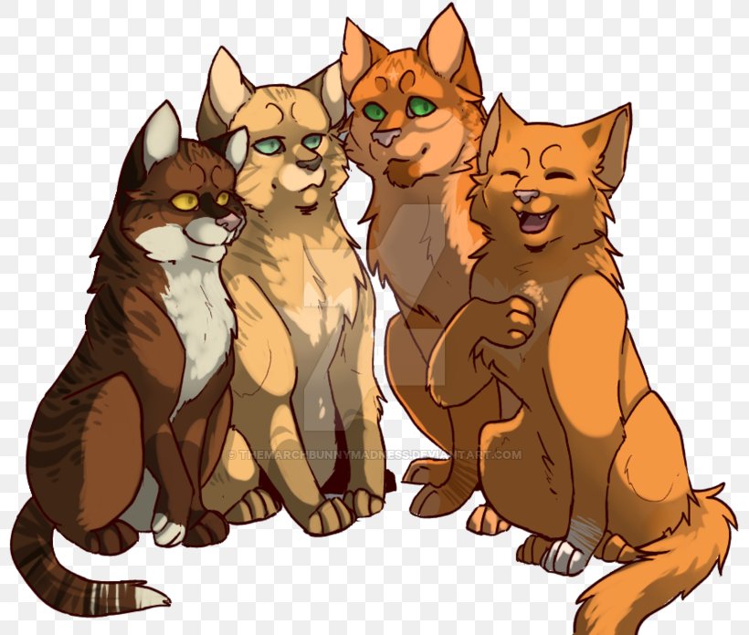 Kitten Whiskers Cat Tigerstar Hawkfrost, PNG, 800x696px, Kitten, Canidae, Carnivoran, Cartoon, Cat Download Free