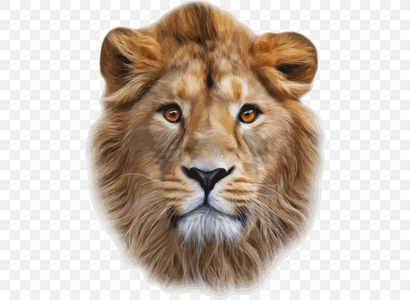 Lionhead Rabbit Lion's Head Cougar Clip Art, PNG, 482x600px, Lion, Big Cat, Big Cats, Carnivoran, Cat Like Mammal Download Free