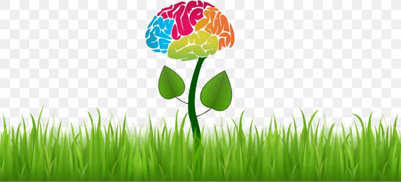 Neuropsychology Cognition Neurology Medicine, PNG, 1500x682px, Neuropsychology, Agy, Behavior, Clinical Neuropsychology, Clinical Psychology Download Free