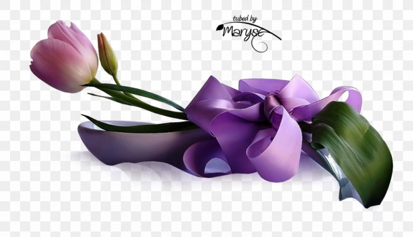 PaintShop Pro Flower Mother's Day Petal, PNG, 973x559px, Paintshop Pro, Cut Flowers, Flower, Flowering Plant, Lilac Download Free