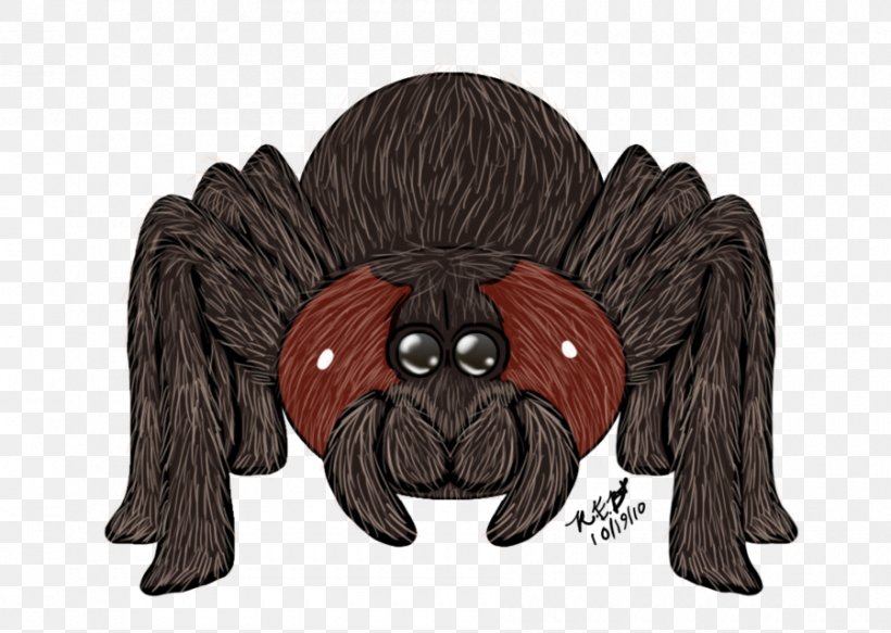 Spider Dog Rose Hair Tarantula Mygalomorphae, PNG, 900x640px, Watercolor, Cartoon, Flower, Frame, Heart Download Free