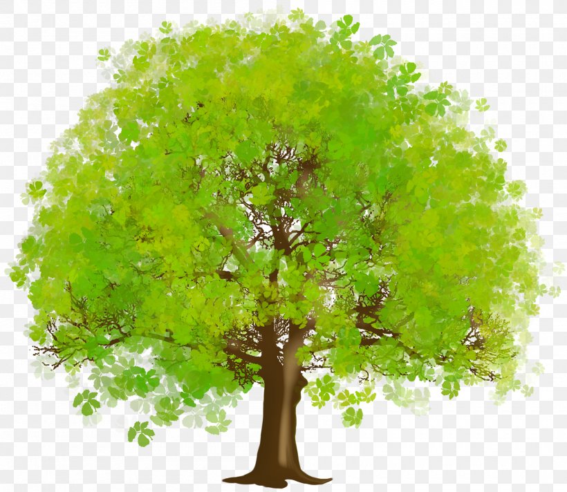 Tree Green Clip Art, PNG, 2000x1738px, Tree, Aspen, Branch, Fruit Tree, Houseplant Download Free