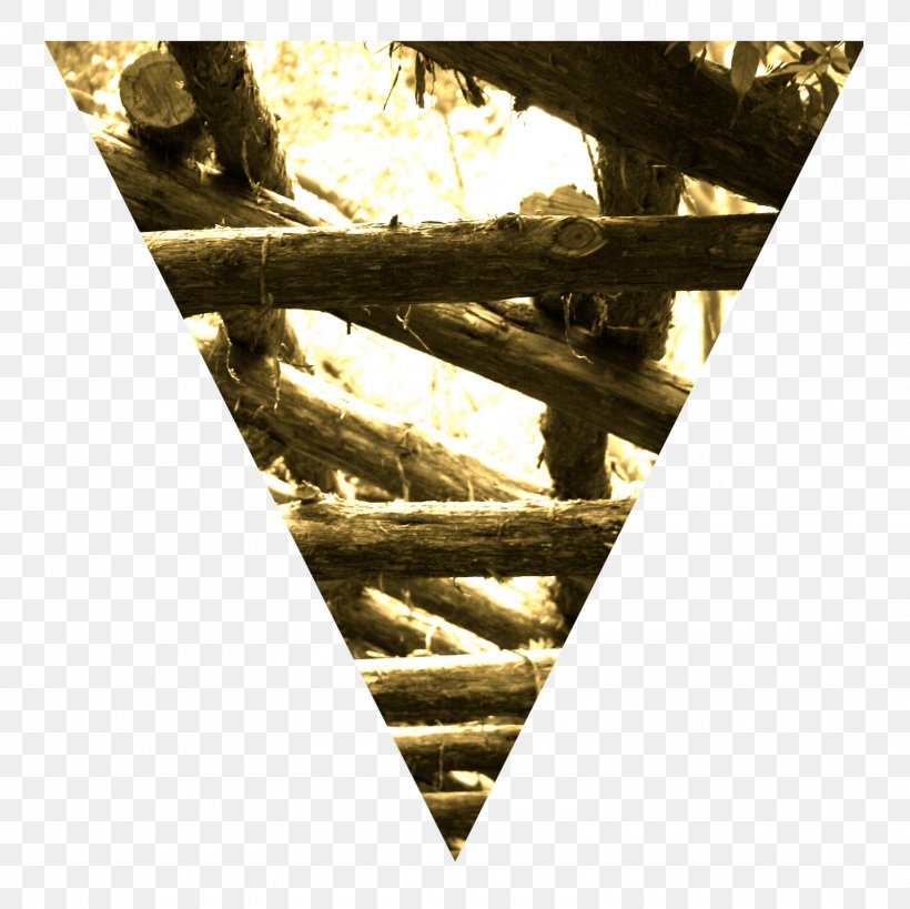 Wood /m/083vt Triangle, PNG, 1600x1600px, Wood, Triangle Download Free