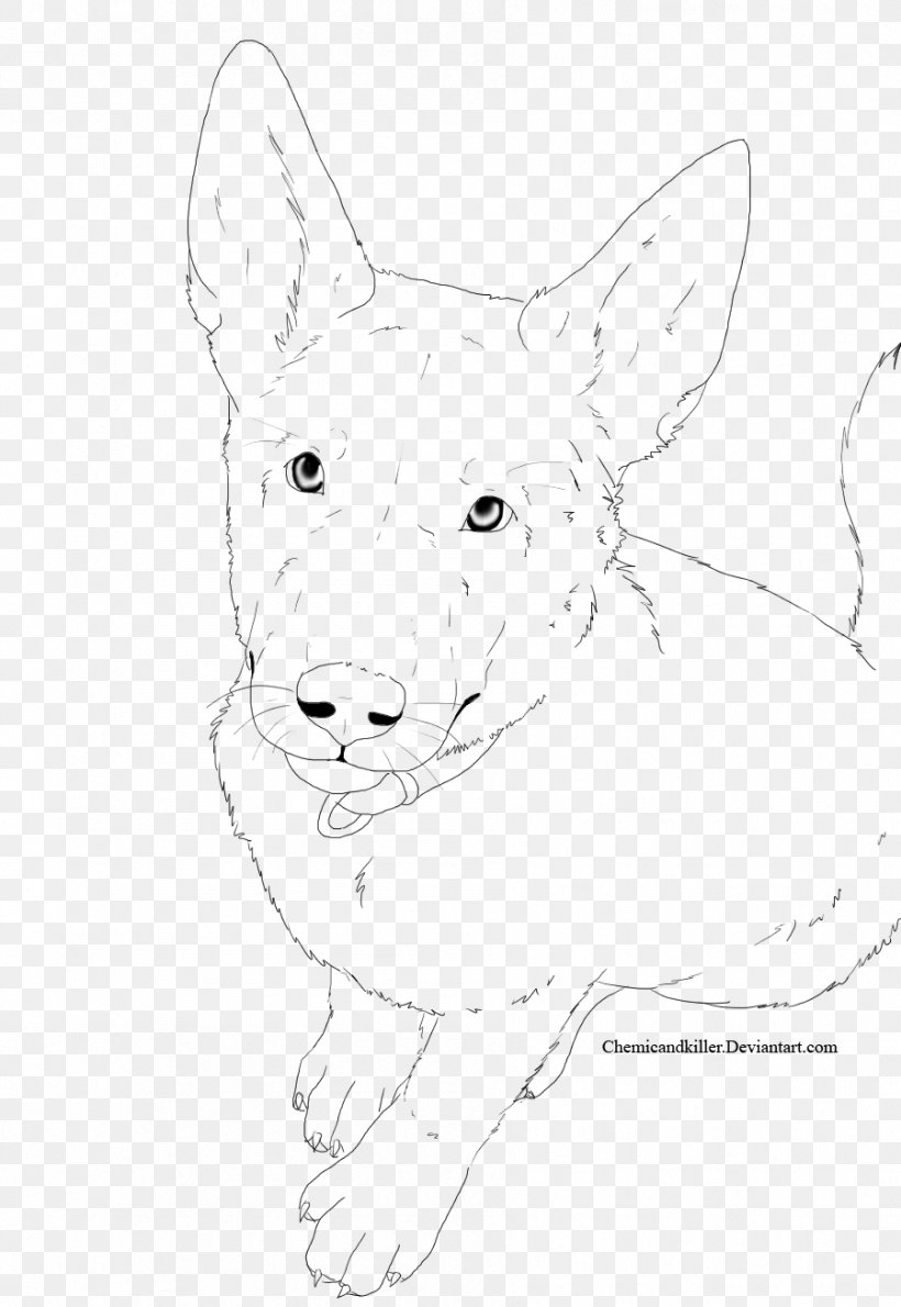 Dog Red Fox Snout Whiskers Drawing, PNG, 899x1305px, Dog, Animal, Artwork, Black And White, Canidae Download Free