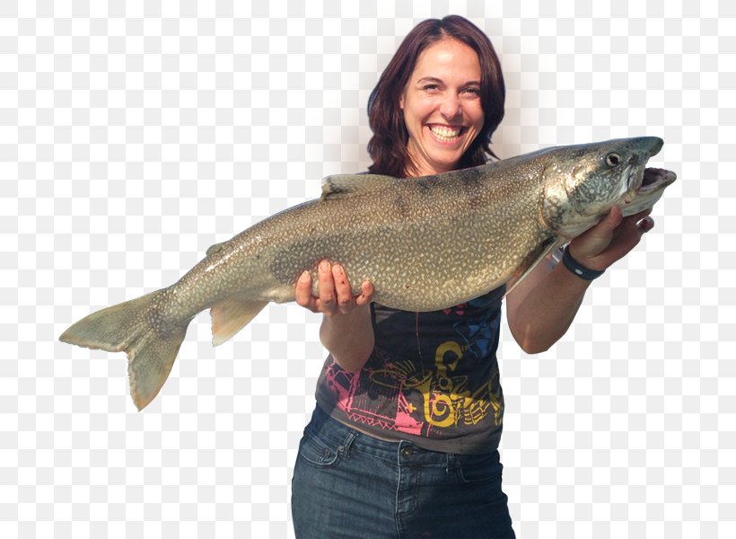 Lake Michigan Fishing Coho Salmon, PNG, 691x600px, Lake Michigan, Angling, Barramundi, Bass, Cod Download Free