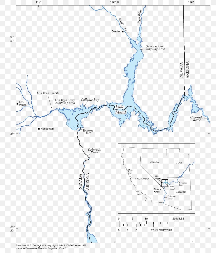 Line Point Angle, PNG, 778x959px, Point, Area, Diagram, Map, Tree Download Free