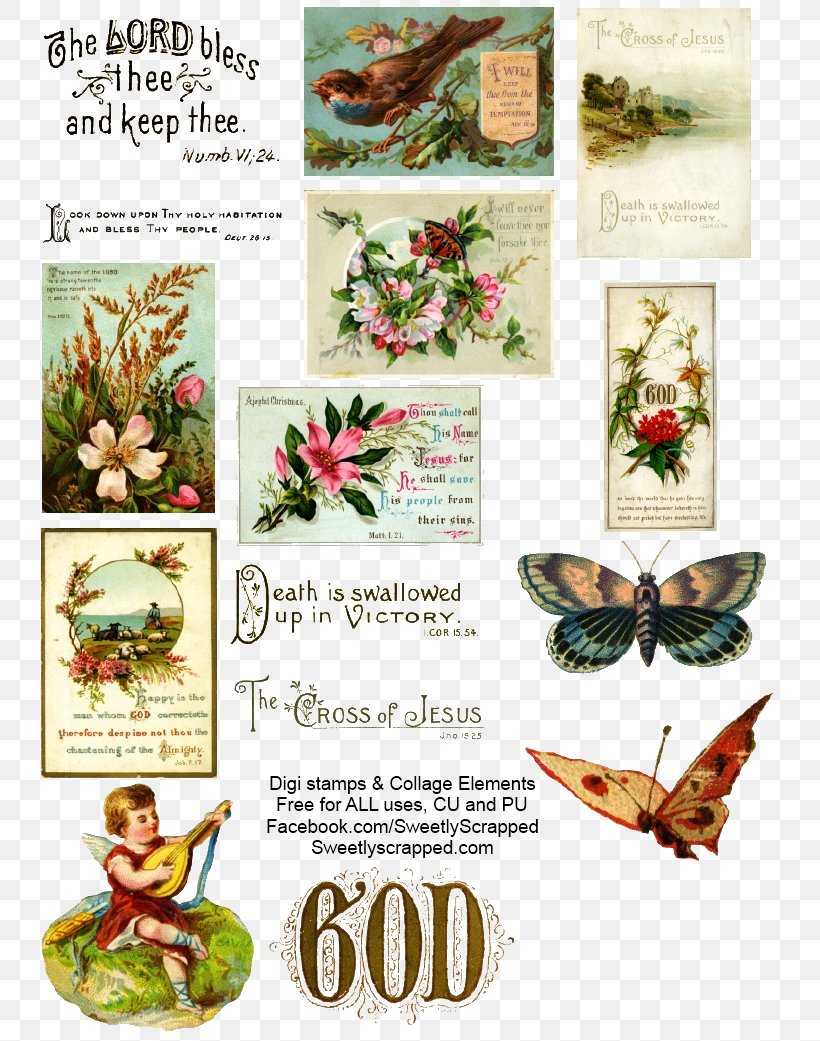 Collage Floral Design Author Victorian Era, PNG, 763x1041px, Collage, Author, Butterfly, Flora, Floral Design Download Free