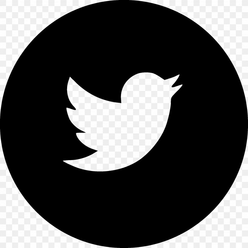 Social Media, PNG, 2154x2151px, Social Media, Beak, Bird, Black And White, Crescent Download Free