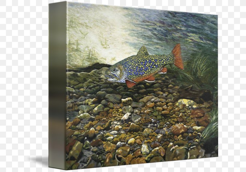 Fish Rainbow Trout Painting Printmaking, PNG, 650x575px, Fish, Art, Brook Trout, Ecosystem, Fauna Download Free