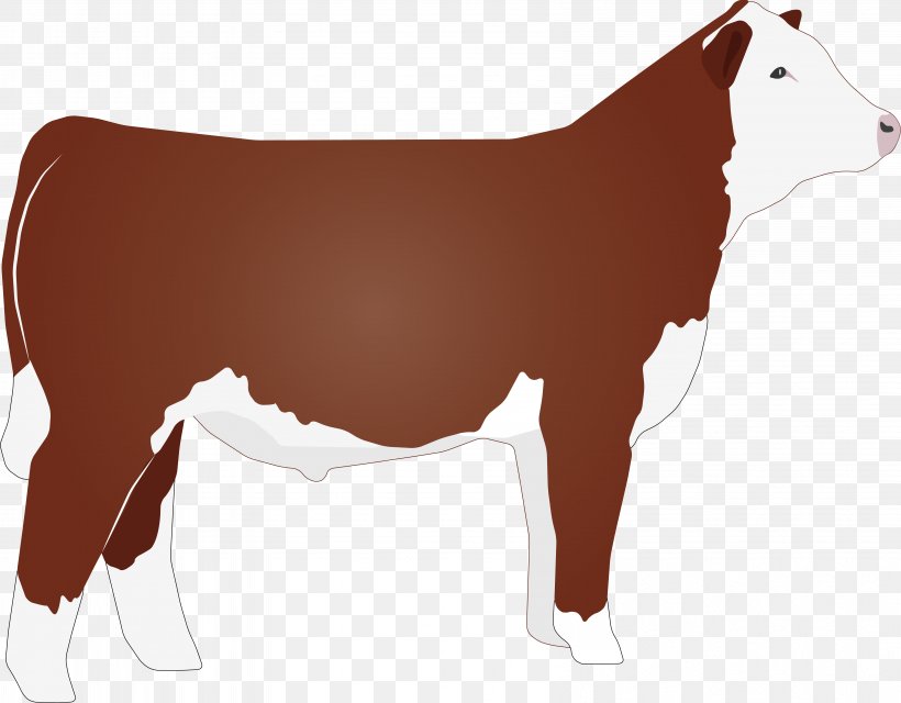 Hereford Cattle Beef Cattle Angus Cattle Clip Art, PNG, 6573x5137px, Hereford Cattle, American Hereford Association, Angus Cattle, Beef Cattle, Bull Download Free