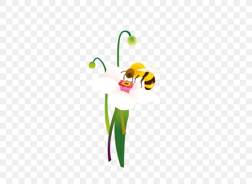 Honey Bee Beehive Honeycomb Clip Art, PNG, 600x600px, Bee, Beehive, Carpenter Bee, Drawing, Flora Download Free