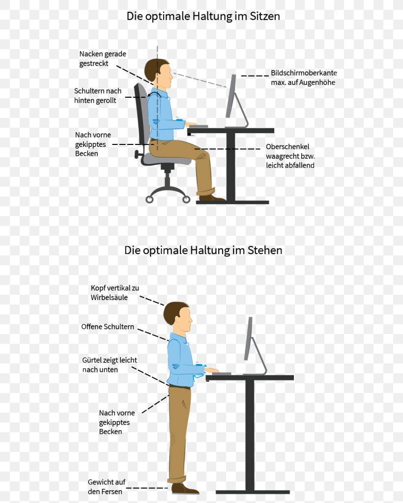 Human Factors And Ergonomics Neutral Spine Sitting Pain In Spine Office & Desk Chairs, PNG, 554x1024px, Human Factors And Ergonomics, Anatomy, Area, Arm, Desk Download Free