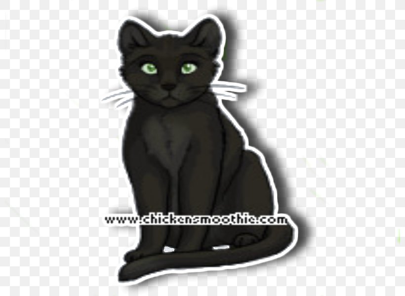 Korat Kitten Domestic Short-haired Cat Black Cat Whiskers, PNG, 800x600px, Korat, Black Cat, Carnivoran, Cat, Cat Like Mammal Download Free